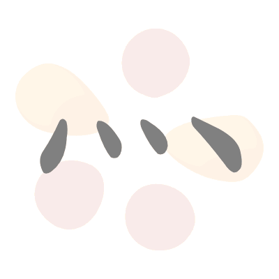  n/a 